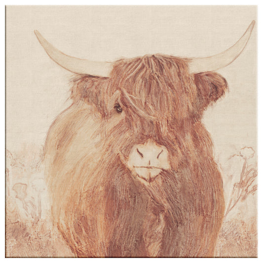 Highlander Cow, Pen and Ink technique